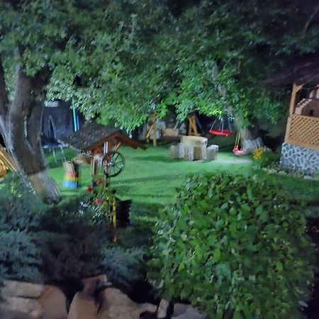 Casa Dintre Pini Villa Paltinoasa ภายนอก รูปภาพ