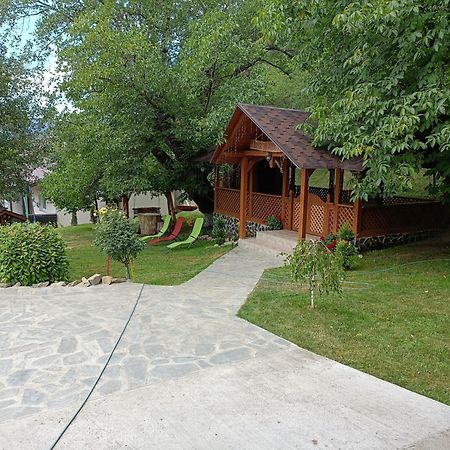 Casa Dintre Pini Villa Paltinoasa ภายนอก รูปภาพ