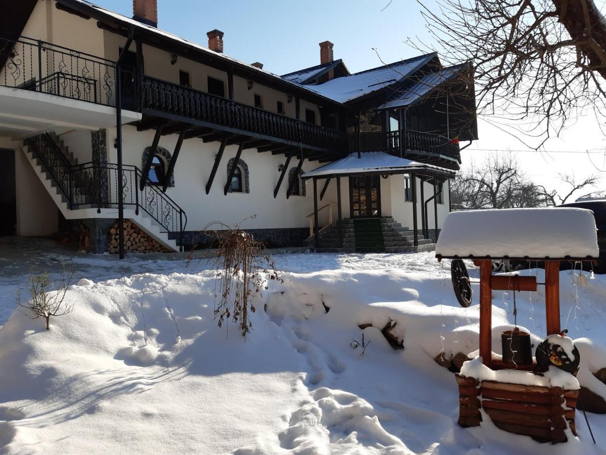 Casa Dintre Pini Villa Paltinoasa ภายนอก รูปภาพ