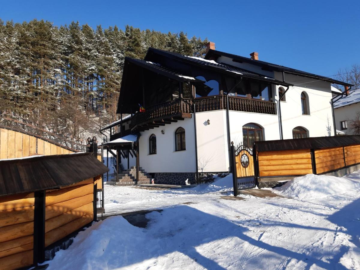 Casa Dintre Pini Villa Paltinoasa ภายนอก รูปภาพ