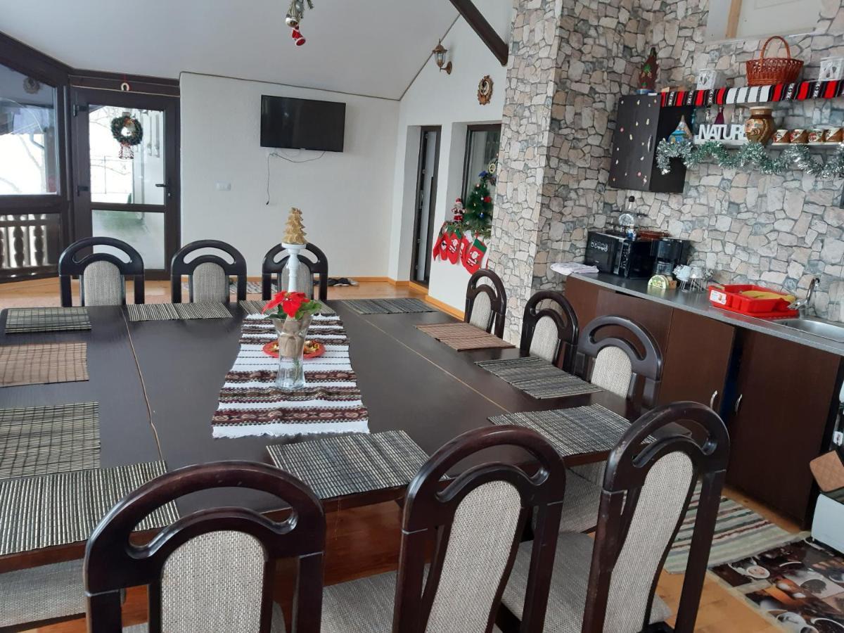 Casa Dintre Pini Villa Paltinoasa ภายนอก รูปภาพ