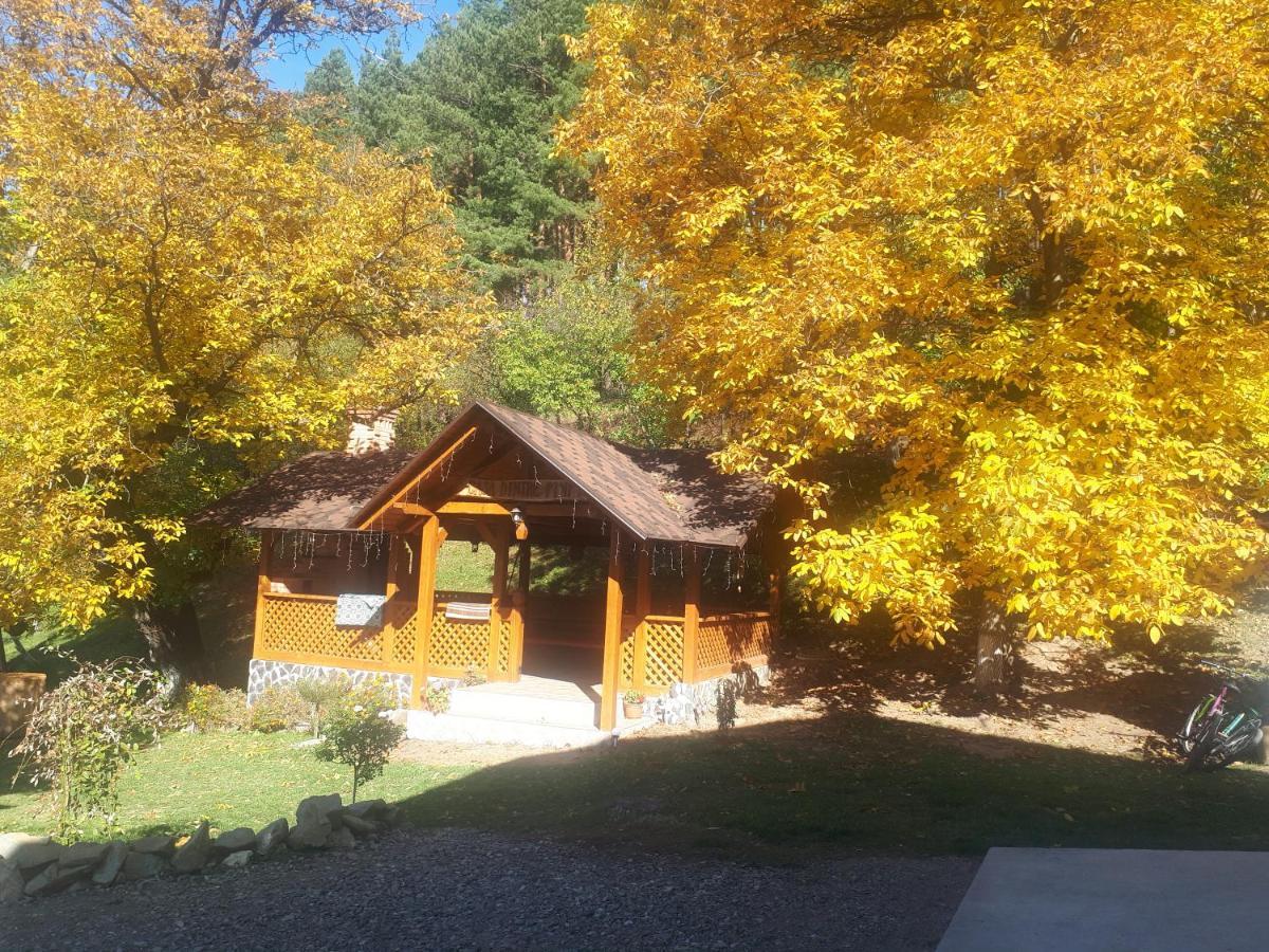 Casa Dintre Pini Villa Paltinoasa ภายนอก รูปภาพ
