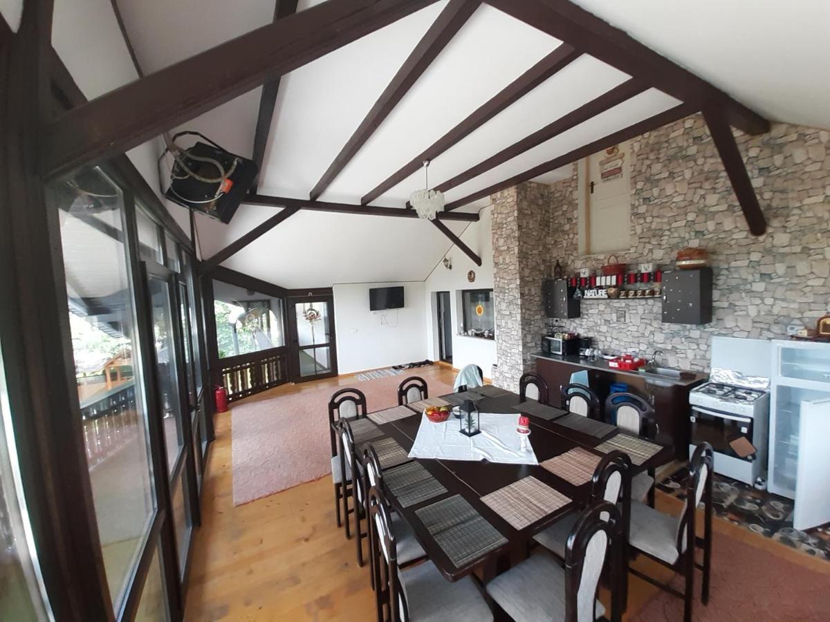 Casa Dintre Pini Villa Paltinoasa ภายนอก รูปภาพ