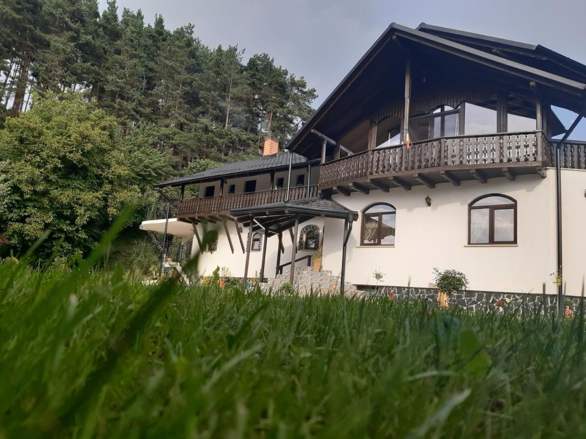 Casa Dintre Pini Villa Paltinoasa ภายนอก รูปภาพ