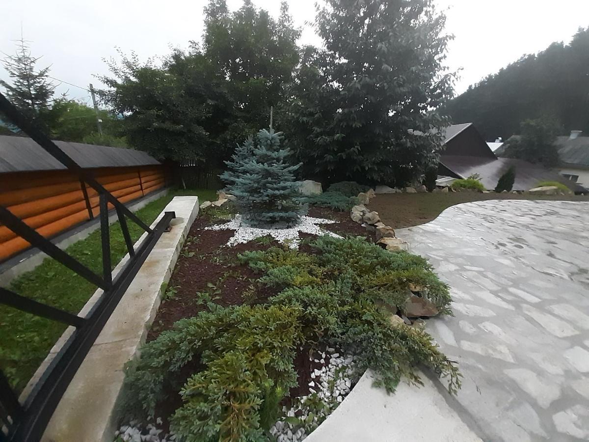 Casa Dintre Pini Villa Paltinoasa ภายนอก รูปภาพ