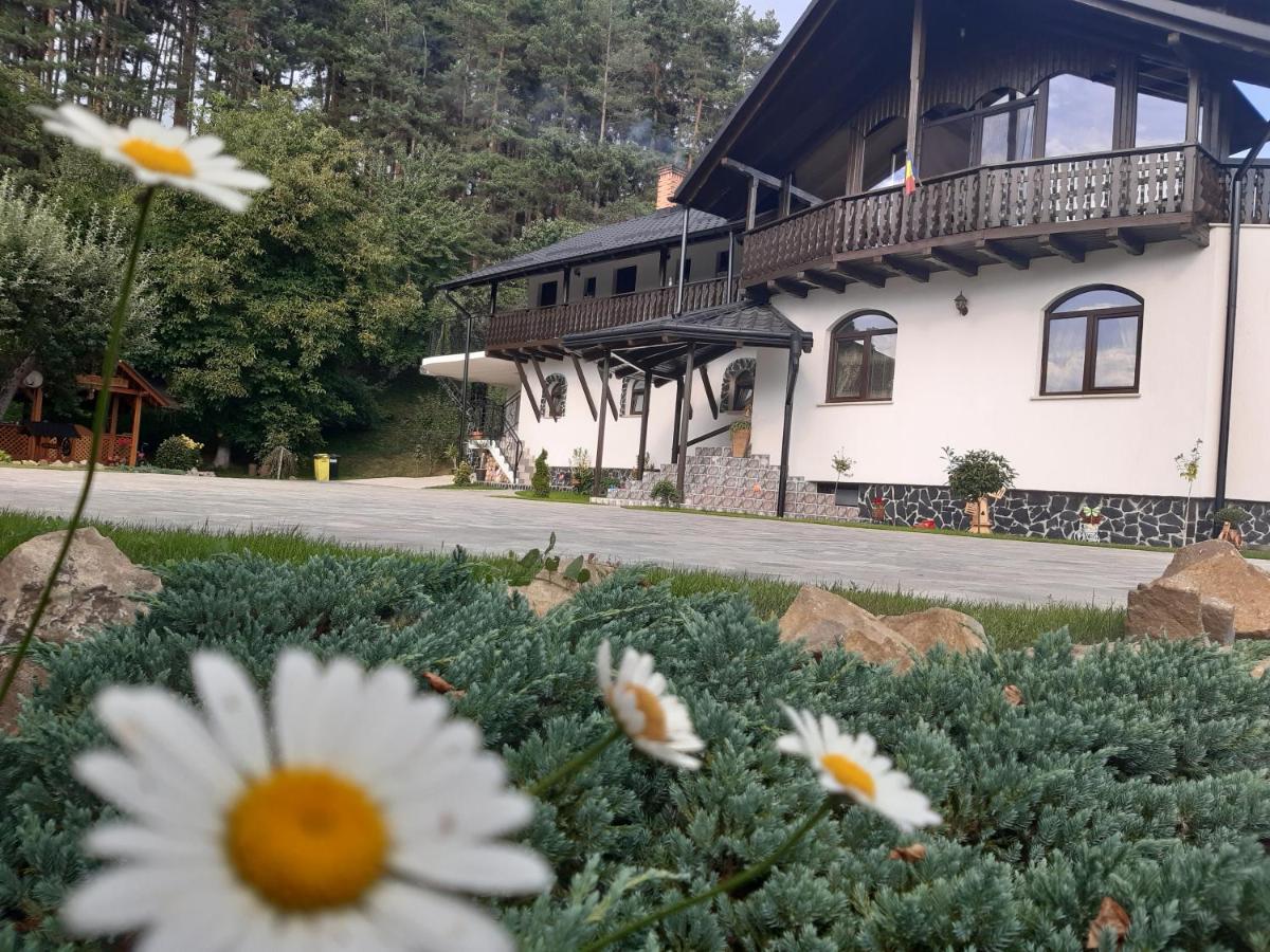 Casa Dintre Pini Villa Paltinoasa ภายนอก รูปภาพ