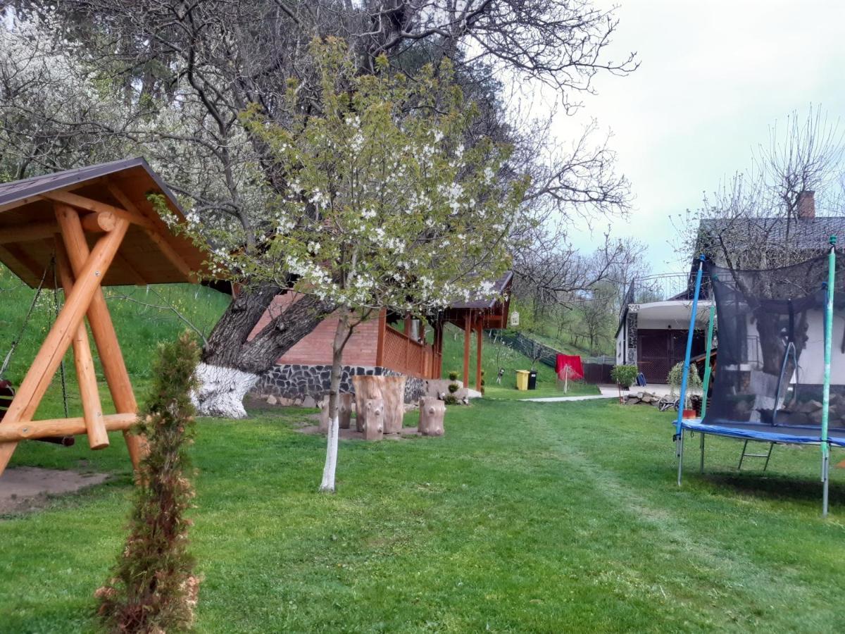 Casa Dintre Pini Villa Paltinoasa ภายนอก รูปภาพ
