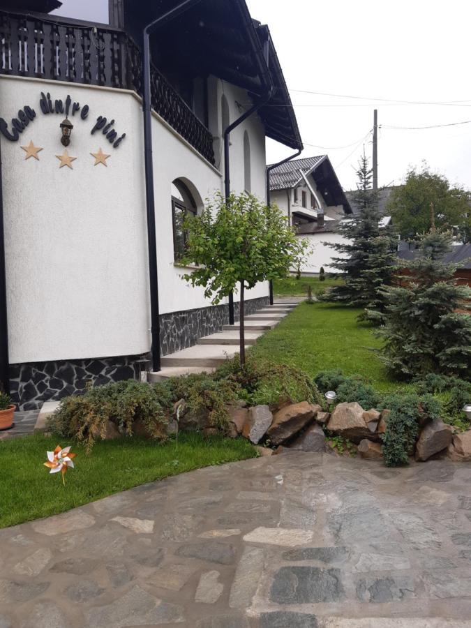 Casa Dintre Pini Villa Paltinoasa ภายนอก รูปภาพ