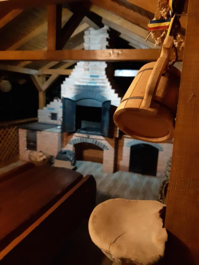Casa Dintre Pini Villa Paltinoasa ภายนอก รูปภาพ