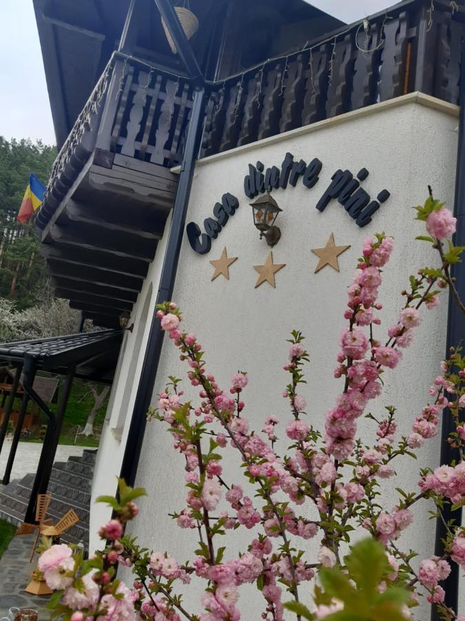 Casa Dintre Pini Villa Paltinoasa ภายนอก รูปภาพ