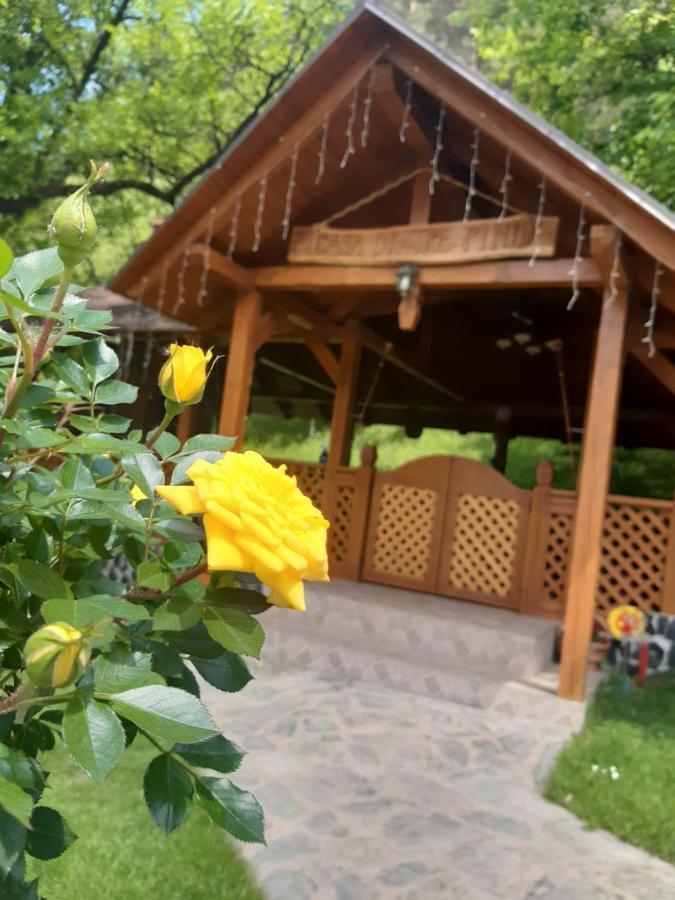 Casa Dintre Pini Villa Paltinoasa ภายนอก รูปภาพ