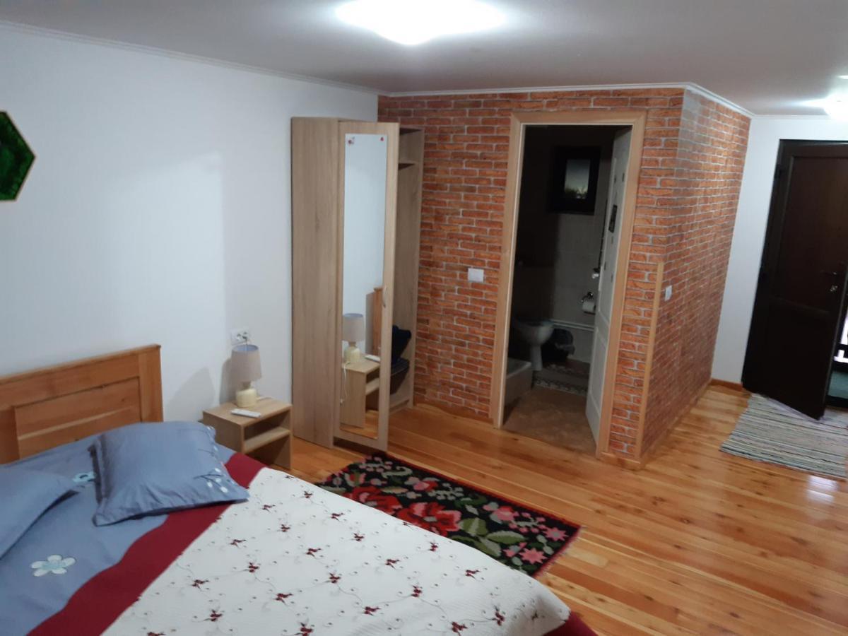Casa Dintre Pini Villa Paltinoasa ภายนอก รูปภาพ