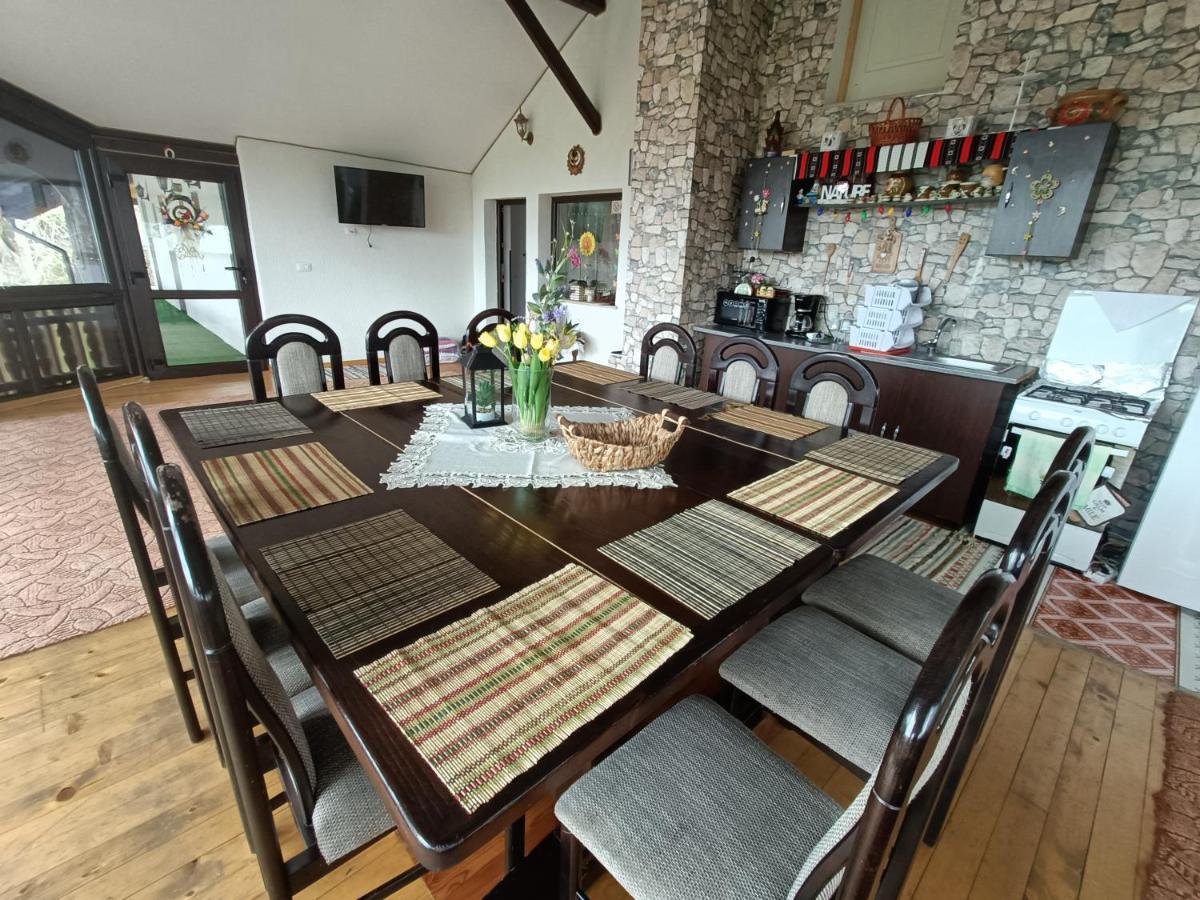 Casa Dintre Pini Villa Paltinoasa ภายนอก รูปภาพ