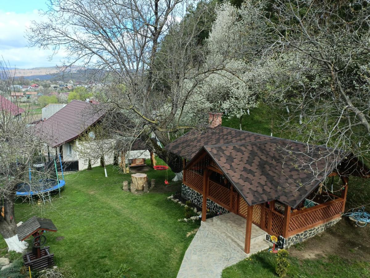 Casa Dintre Pini Villa Paltinoasa ภายนอก รูปภาพ