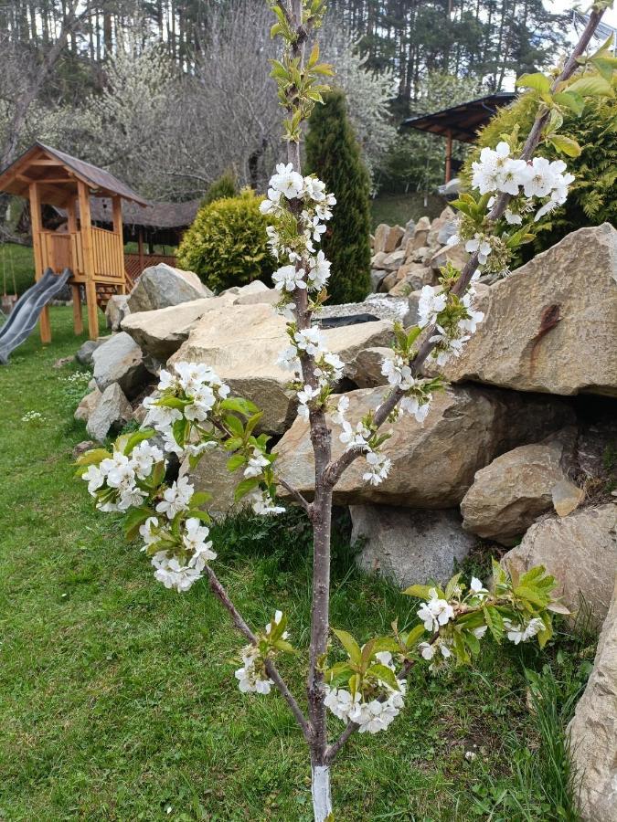 Casa Dintre Pini Villa Paltinoasa ภายนอก รูปภาพ