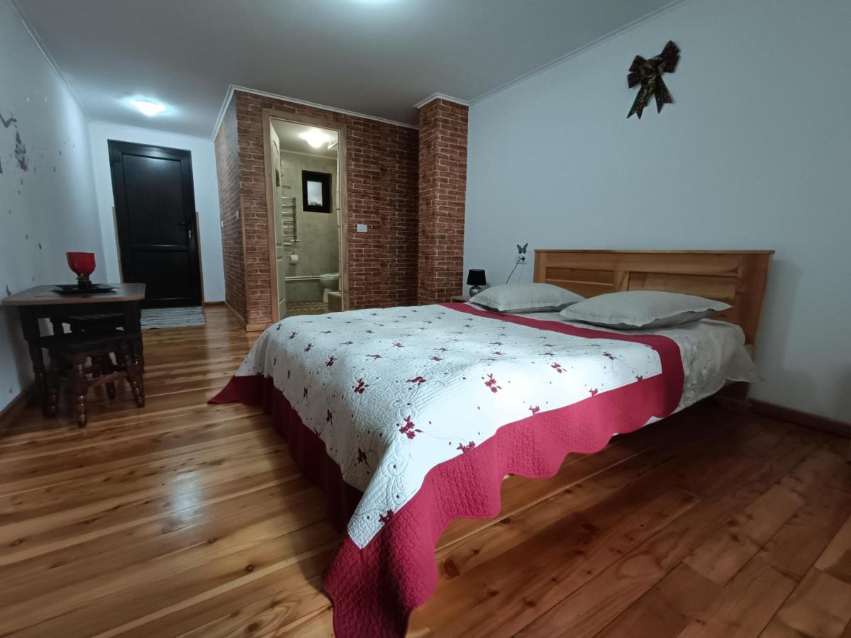 Casa Dintre Pini Villa Paltinoasa ภายนอก รูปภาพ