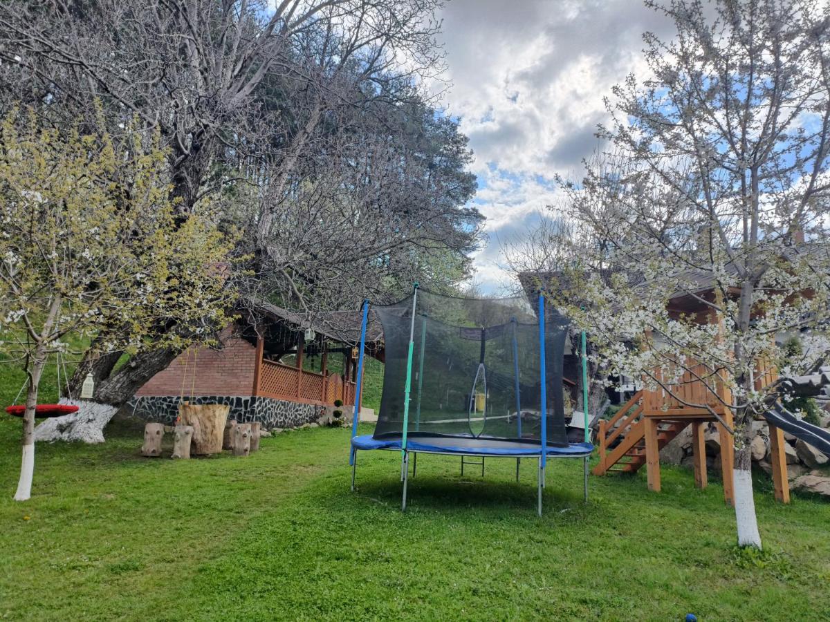 Casa Dintre Pini Villa Paltinoasa ภายนอก รูปภาพ
