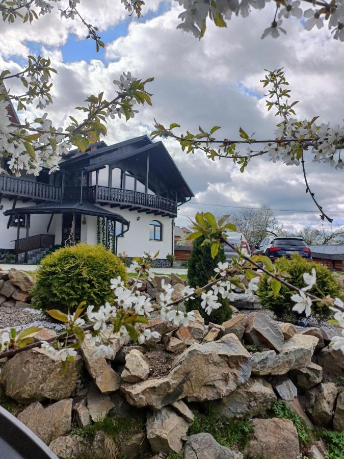 Casa Dintre Pini Villa Paltinoasa ภายนอก รูปภาพ