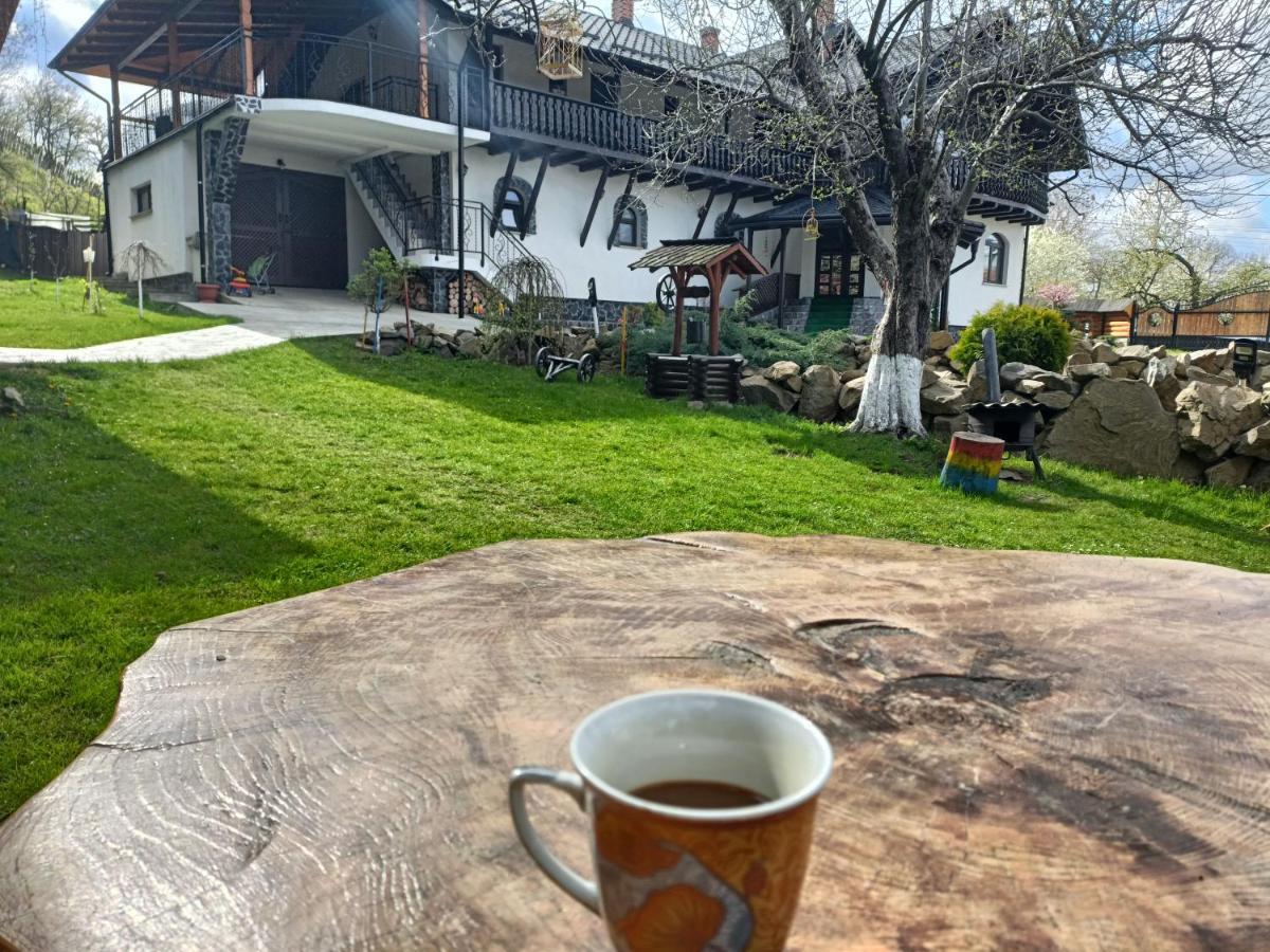 Casa Dintre Pini Villa Paltinoasa ภายนอก รูปภาพ