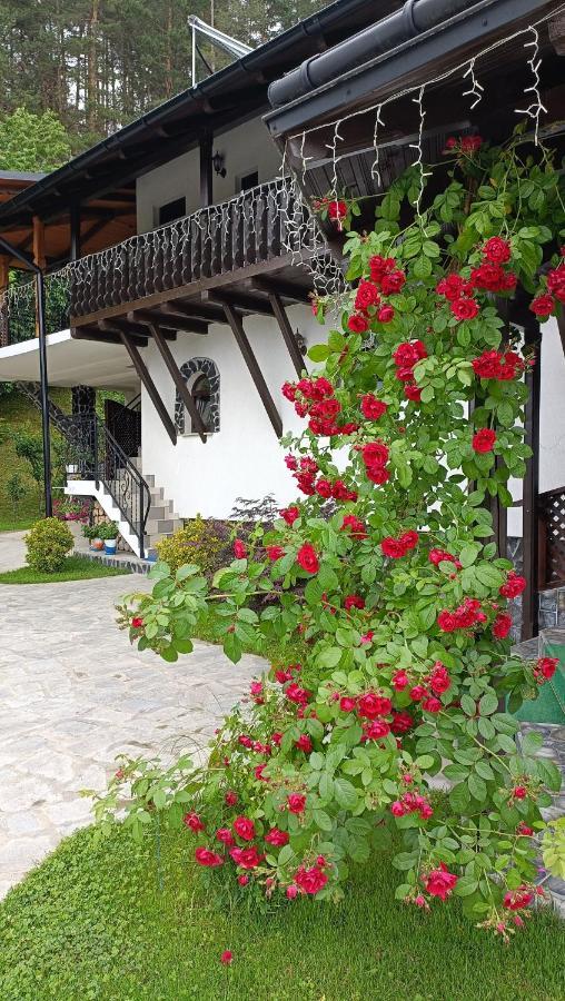 Casa Dintre Pini Villa Paltinoasa ภายนอก รูปภาพ