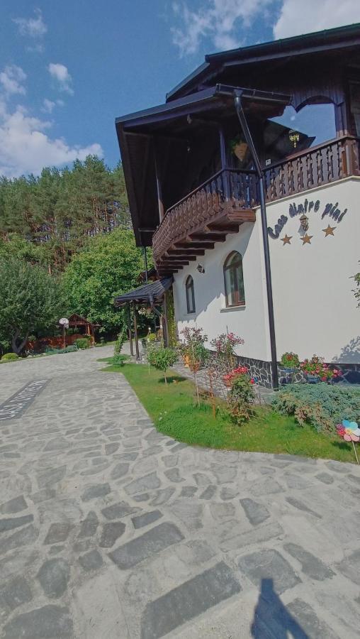 Casa Dintre Pini Villa Paltinoasa ภายนอก รูปภาพ