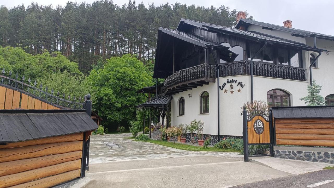 Casa Dintre Pini Villa Paltinoasa ภายนอก รูปภาพ
